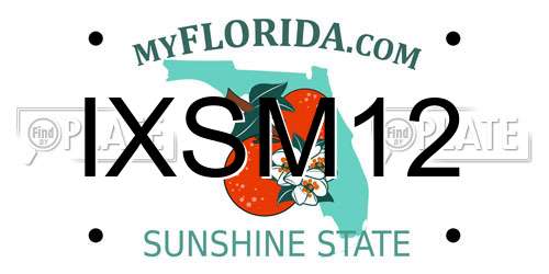 IXSM12 Florida License Plate