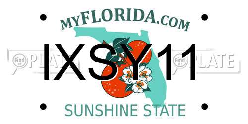 IXSY11 Florida License Plate