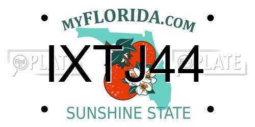 IXTJ44 Florida License Plate