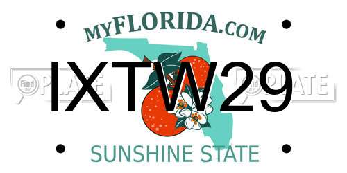 IXTW29 Florida License Plate