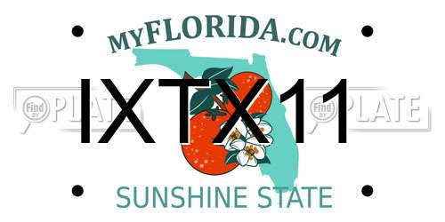 IXTX11 Florida License Plate