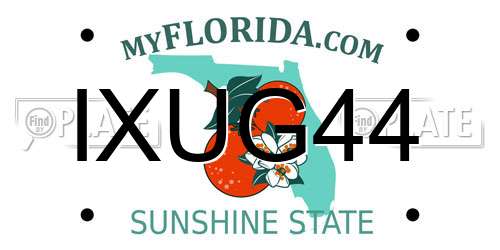 IXUG44 Florida License Plate