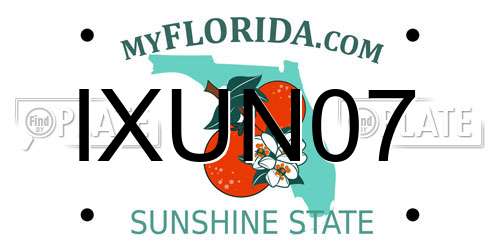 IXUN07 Florida License Plate