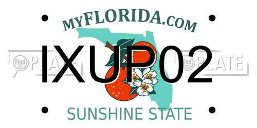 IXUP02 Florida License Plate