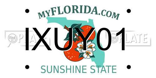 IXUY01 Florida License Plate