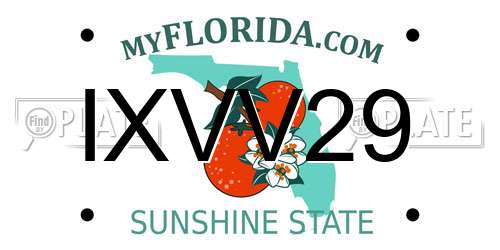IXVV29 Florida License Plate