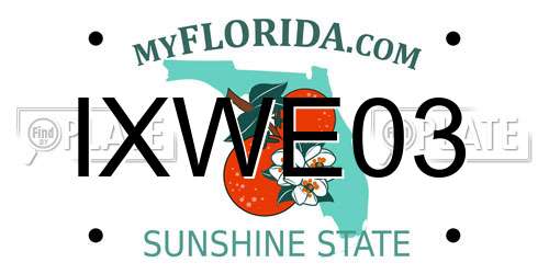 IXWE03 Florida License Plate