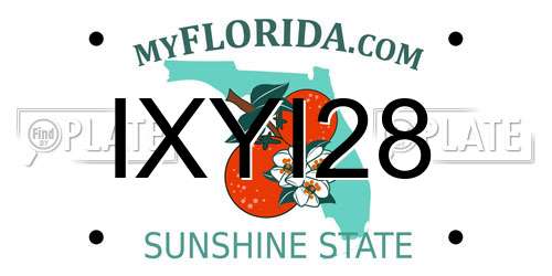 IXYI28 Florida License Plate