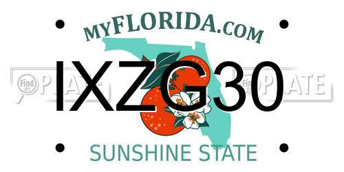 IXZG30 Florida License Plate