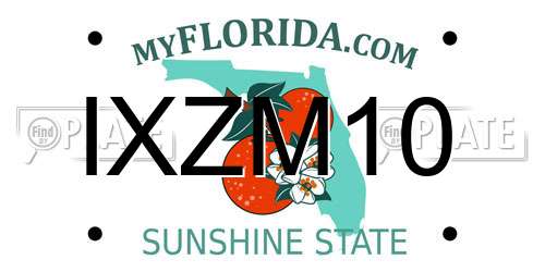 IXZM10 Florida License Plate