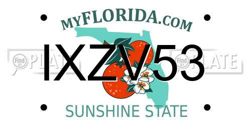 IXZV53 Florida License Plate