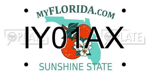 IY01AX Florida License Plate