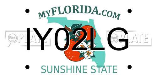 IY02LG Florida License Plate