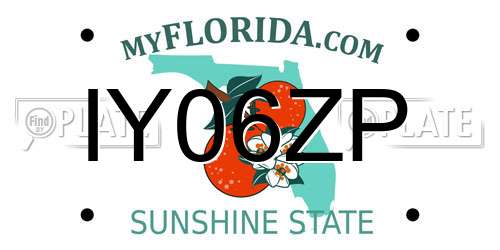 IY06ZP Florida License Plate