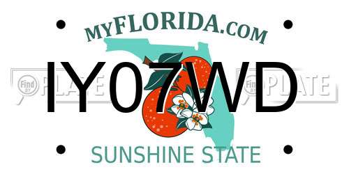 IY07WD Florida License Plate