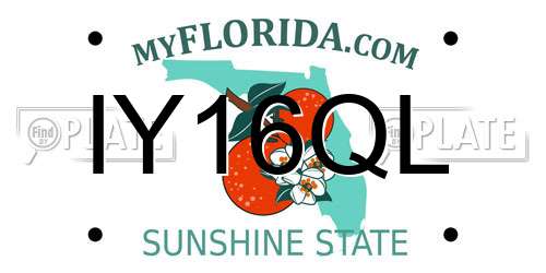 IY16QL Florida License Plate
