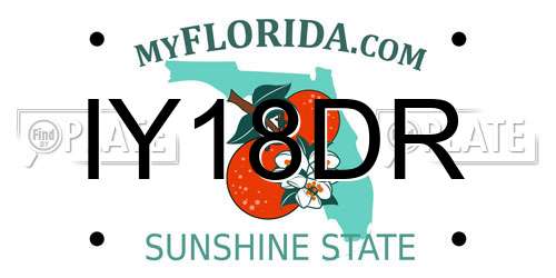 IY18DR Florida License Plate