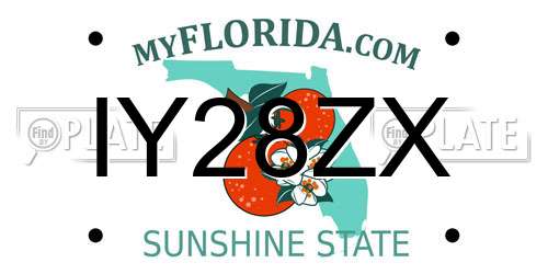 IY28ZX Florida License Plate