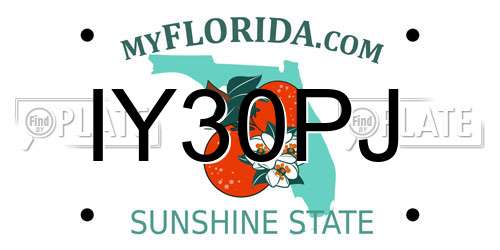 IY30PJ Florida License Plate