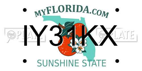 IY31KX Florida License Plate