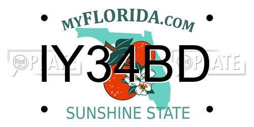 IY34BD Florida License Plate