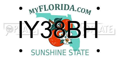 IY38BH Florida License Plate