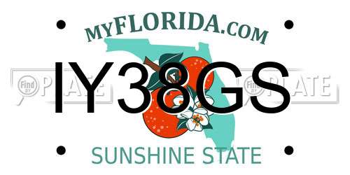 IY38GS Florida License Plate