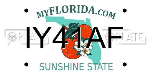 IY41AF Florida License Plate