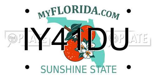 IY41DU Florida License Plate