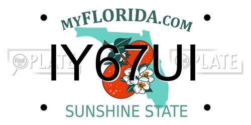 IY67UI Florida License Plate