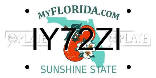IY72ZI Florida License Plate