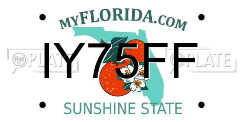 IY75FF Florida License Plate