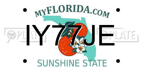 IY77JE Florida License Plate
