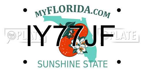 IY77JF Florida License Plate