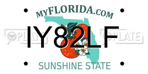 IY82LF Florida License Plate