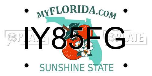IY85FG Florida License Plate