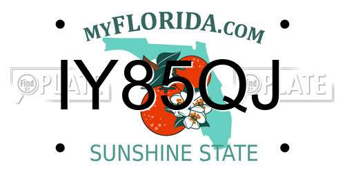 IY85QJ Florida License Plate