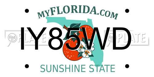 IY85WD Florida License Plate