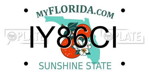 IY86CI Florida License Plate
