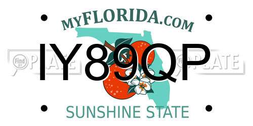 IY89QP Florida License Plate