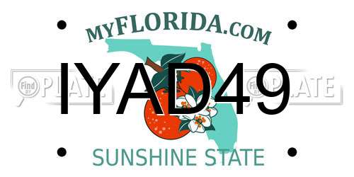 IYAD49 Florida License Plate