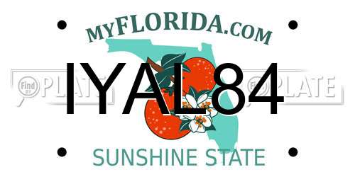 IYAL84 Florida License Plate