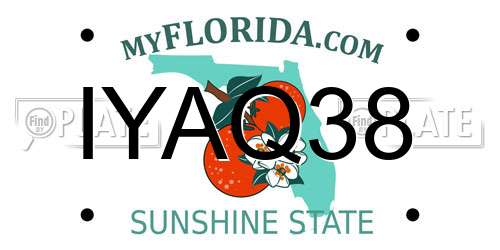 IYAQ38 Florida License Plate