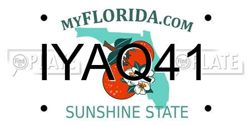 IYAQ41 Florida License Plate