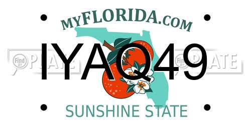 IYAQ49 Florida License Plate