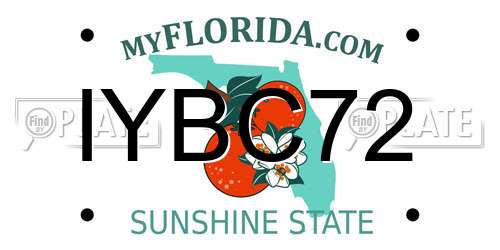 IYBC72 Florida License Plate