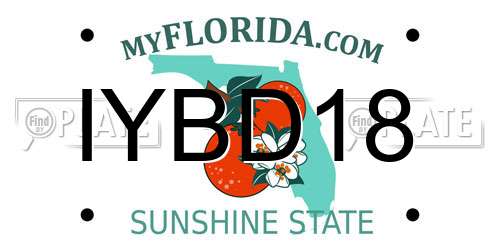 IYBD18 Florida License Plate