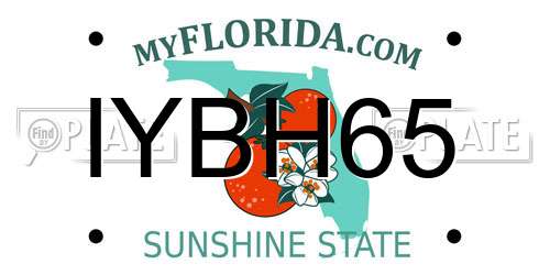 IYBH65 Florida License Plate