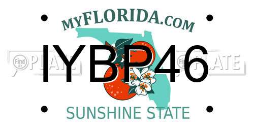IYBP46 Florida License Plate