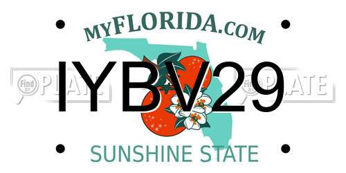 IYBV29 Florida License Plate